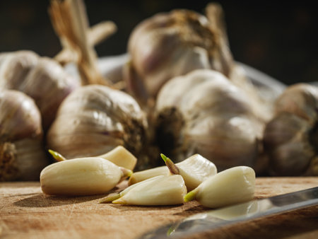 Fresh Garlic Bulb Organic and Aromatic Ingredient for Healthy Cooking.の写真素材