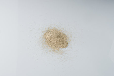 Dry Yeast for Baking Essential Leavening Ingredient.の写真素材