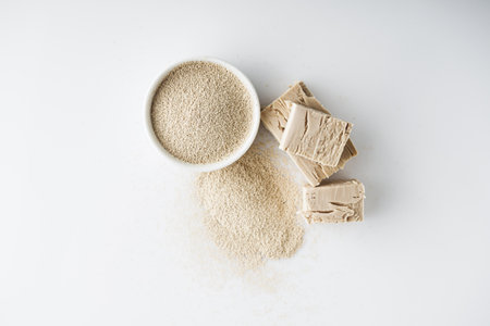 Dry Yeast for Baking Essential Leavening Ingredient.の写真素材