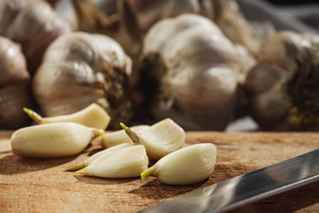 Fresh Garlic Bulb Organic and Aromatic Ingredient for Healthy Cooking.の写真素材