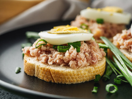 Tuna Toast A Healthy Gourmet Snack.の写真素材