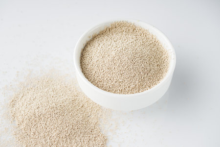Dry Yeast for Baking Essential Leavening Ingredient.の写真素材