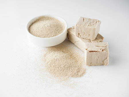 Dry Yeast for Baking Essential Leavening Ingredient.の写真素材