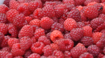 Raspberries
