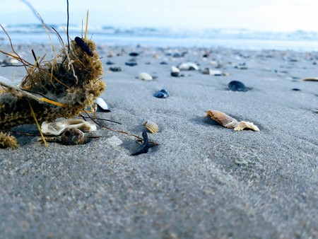 Beachの写真素材