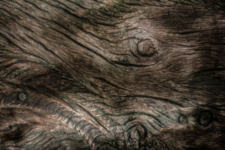 wood texture. backgroundの写真素材