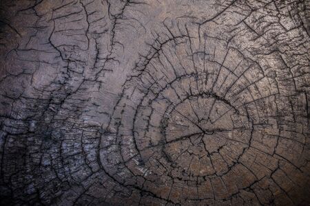 Dark wood texture. Abstract backgroundの写真素材