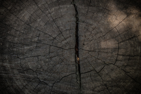 Dark wood texture. Abstract backgroundの写真素材