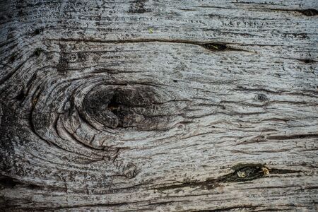 Wooden textureの写真素材