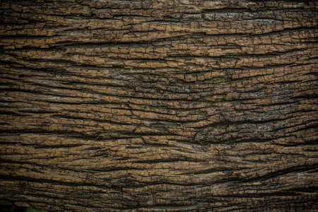 wood texture. backgroundの写真素材