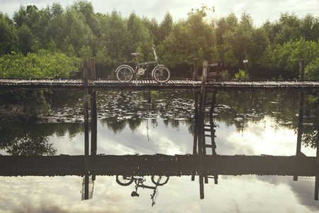 bicycle retro on wooden bridge with mangrove forest.の写真素材