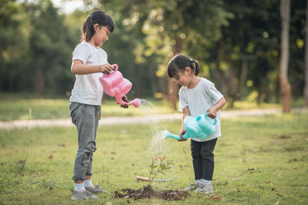 Asian sibling watering young tree on summer dayの写真素材