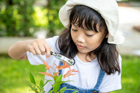 Young girl is looking at tree leaves through magnifier, outdoor shootの写真素材