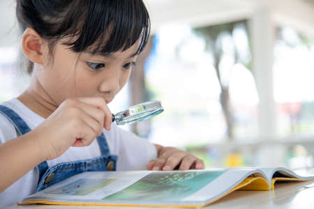 Asian Little girl reading the books on the desk with a magnifying glassの写真素材