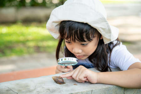 Happy kid girl exploring nature with a magnifying glass and a snail. He having fun in the garden. The concept of the kid is ready to go to school.の写真素材