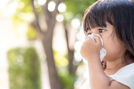 Asian child girl sick with sneezing on the nose and cold cough on tissue paper because weak or virus and bacteria from dust weather and kindergarten and preschoolの写真素材