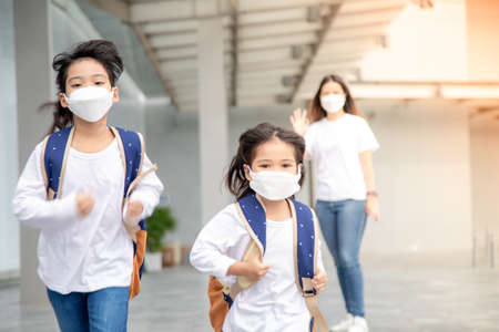 Pupils of school. Girls with backpacks. Beginning of lessons. First dayの写真素材