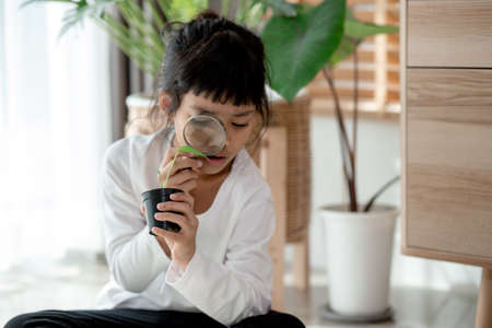 Concentrated little girl with magnifying glass examining green plantの写真素材