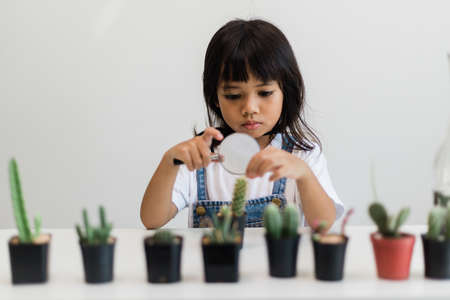 Asian little girl is planting plants in the house, concept of plant growing learning activity for a preschool kid and child education for the tree in natureの写真素材
