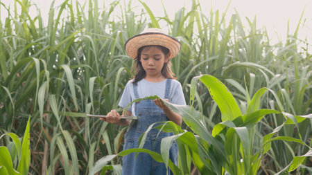 Asian woman holding tablet walking through corn field and checking corn stalks to monitor plant growth. Smart farming concept.の写真素材