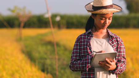 Asian woman monitors the growth of rice plants, records results on a tablet, and applies smart farming concepts.の写真素材