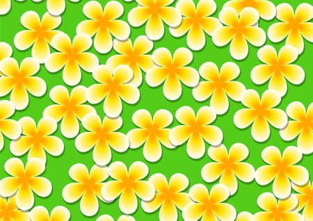 Seamless white plumeria or araliya flower pattern for wallpaper in vector formatのイラスト素材
