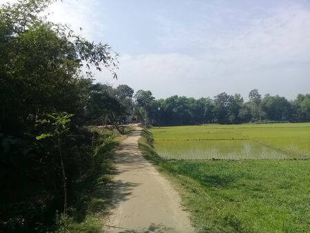 rural road in the countrysideの写真素材