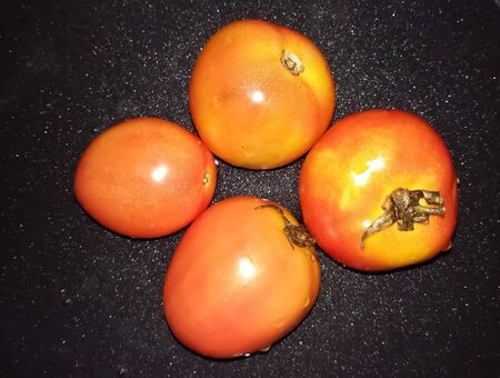 Tomato on black backgroundの写真素材