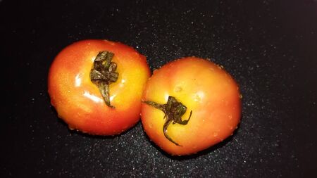tomato on blackの写真素材