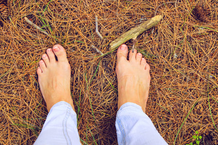 Girl legs with Pedicure Outdoors with Pine Conesの写真素材