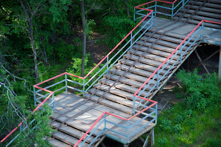staircase through the woods in the parkの写真素材