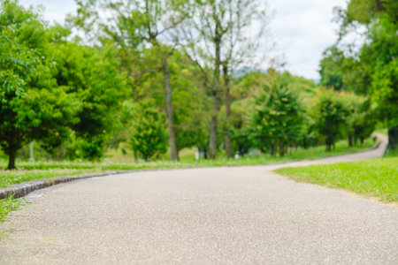 road in the park with green grass and trees on background