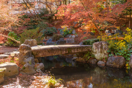 Autumn leaves and stone bridge in japanese garden at Kyoto