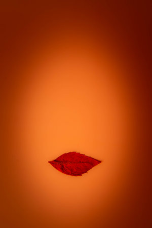 Minimalist photograph suggesting a face, made from a orange leaf as lips and an oval mask in editing, on a orange backgroundの写真素材