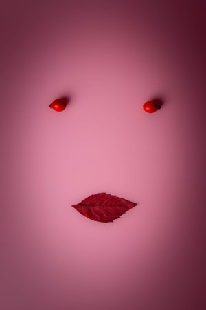 Minimalist photograph suggesting a young woman's face made from a red leaf as lips red fruits as eyes and an oval mask in editing, on a red backgroundの写真素材