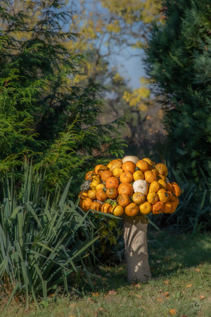 Artisanal mushroom made from a variety of ornamental pumpkins at the autumn festival in the botanical gardenの写真素材