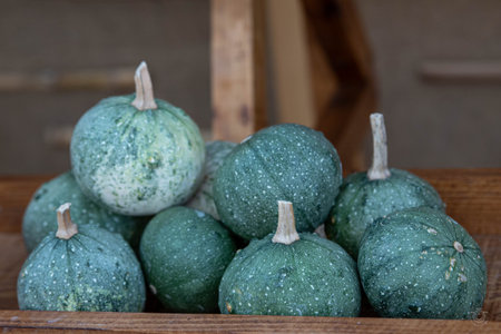 Green pumpkins in a wooden box on the counter of the store