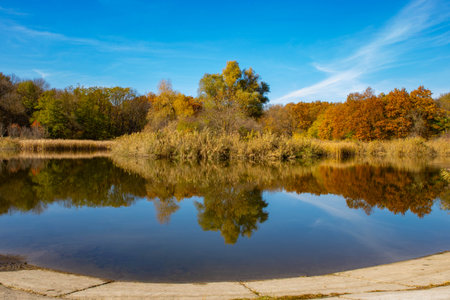 A serene pond surrounded by autumnal trees with foliage in shades of green,yellow,and orange.The calm water reflects the landscape and the blue sky.の写真素材
