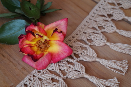 Picture of a beautiful rosy and  rose yellow