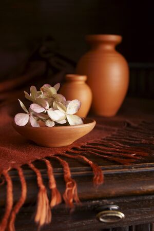 Romanian ceramics and withered hydrangea flowers