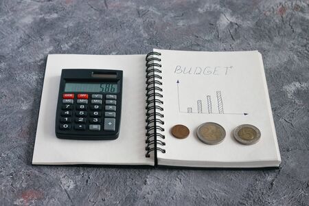 Entries in the notebook for calculating the income and expenses of the family budget for the accumulation of money for an apartment, car and educationの写真素材