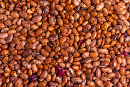 Red and purple raw beans for vegetarian food background