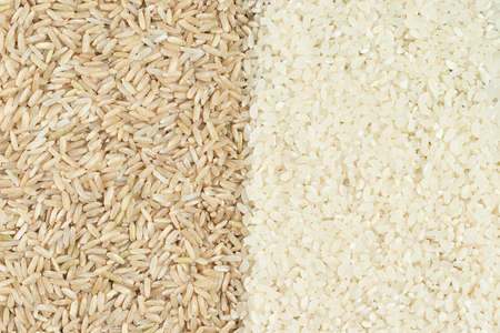 Food background of brown raw rice and white round rice for healthy nutritionの写真素材