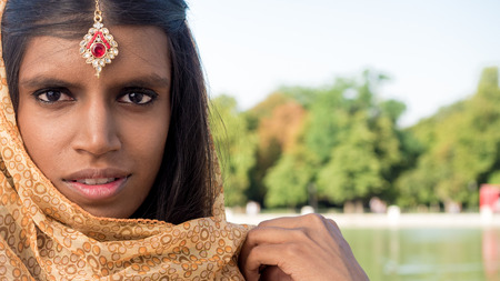 welcome to India, Commercial concept of  traditional Indiaの写真素材