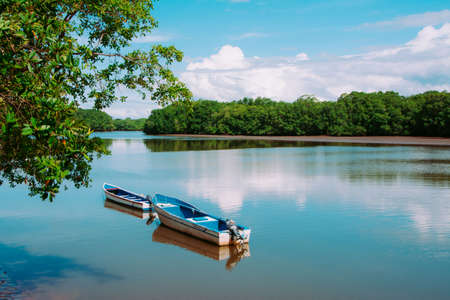 Two boats in calm waters on the shore of an island, in the midst of nature and mangroves