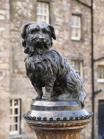 Statue tribute to the dog Greyfriars Bobby  Edinburgh の写真素材