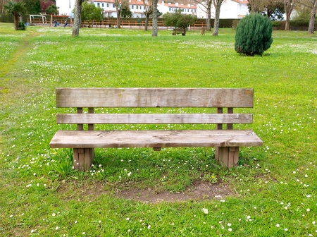 Wooden park bench in nature  A good place to sit