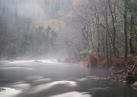 Mist river in Galicia, Spain  This river is called Eume river  の写真素材