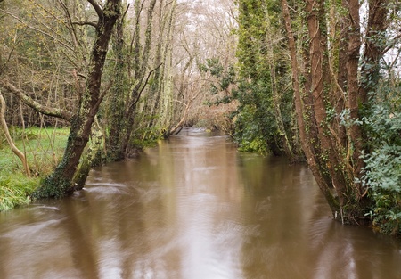Jubia river in Galicia, Spain  Long exposure in the river in a rainy day の写真素材
