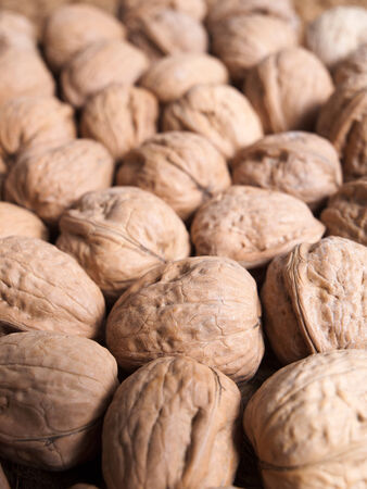 walnuts background in a studio shotの写真素材